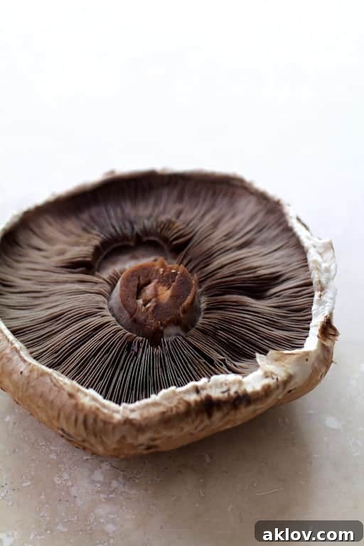 Photo of underside of a Portobello mushroom, showcasing its firm texture.