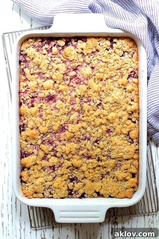 Photo of Blueberry Crumble Bars in white baking dish on cooling rack before being cut.