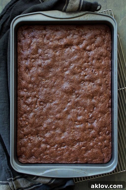 A full pan of freshly baked Whole Wheat Ancho Chili Brownies cooling on a wire rack, showing their even rise and dark, rich surface.