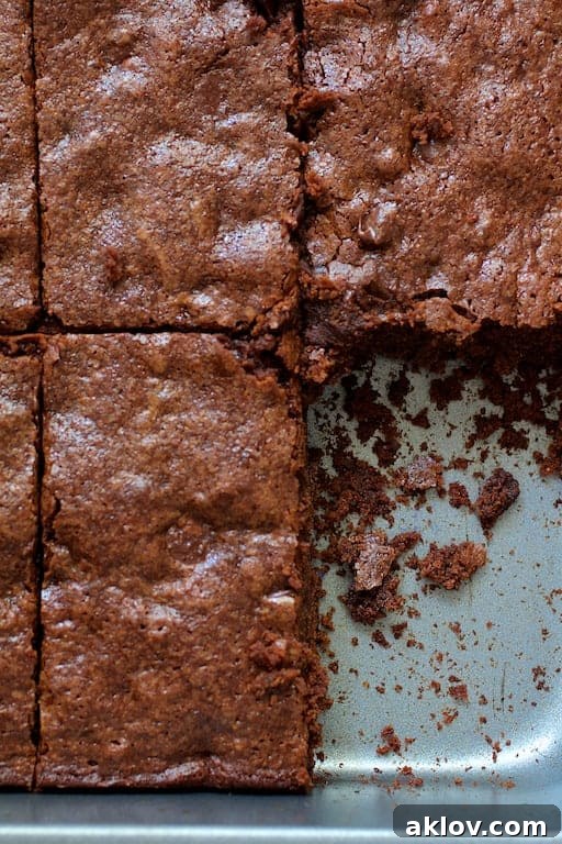 Close-up shot of Whole Wheat Ancho Chili Brownies in the pan, with one piece neatly removed, revealing the moist, fudgy interior and delicious crumbs.
