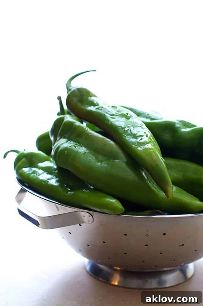A stainless steel colander filled with fresh, vibrant Hatch green chiles, ready for roasting.