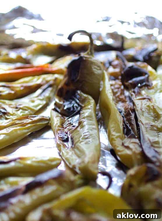 Roasted Hatch green chiles, beautifully charred and blistered, laid out on a baking sheet after being removed from the broiler.