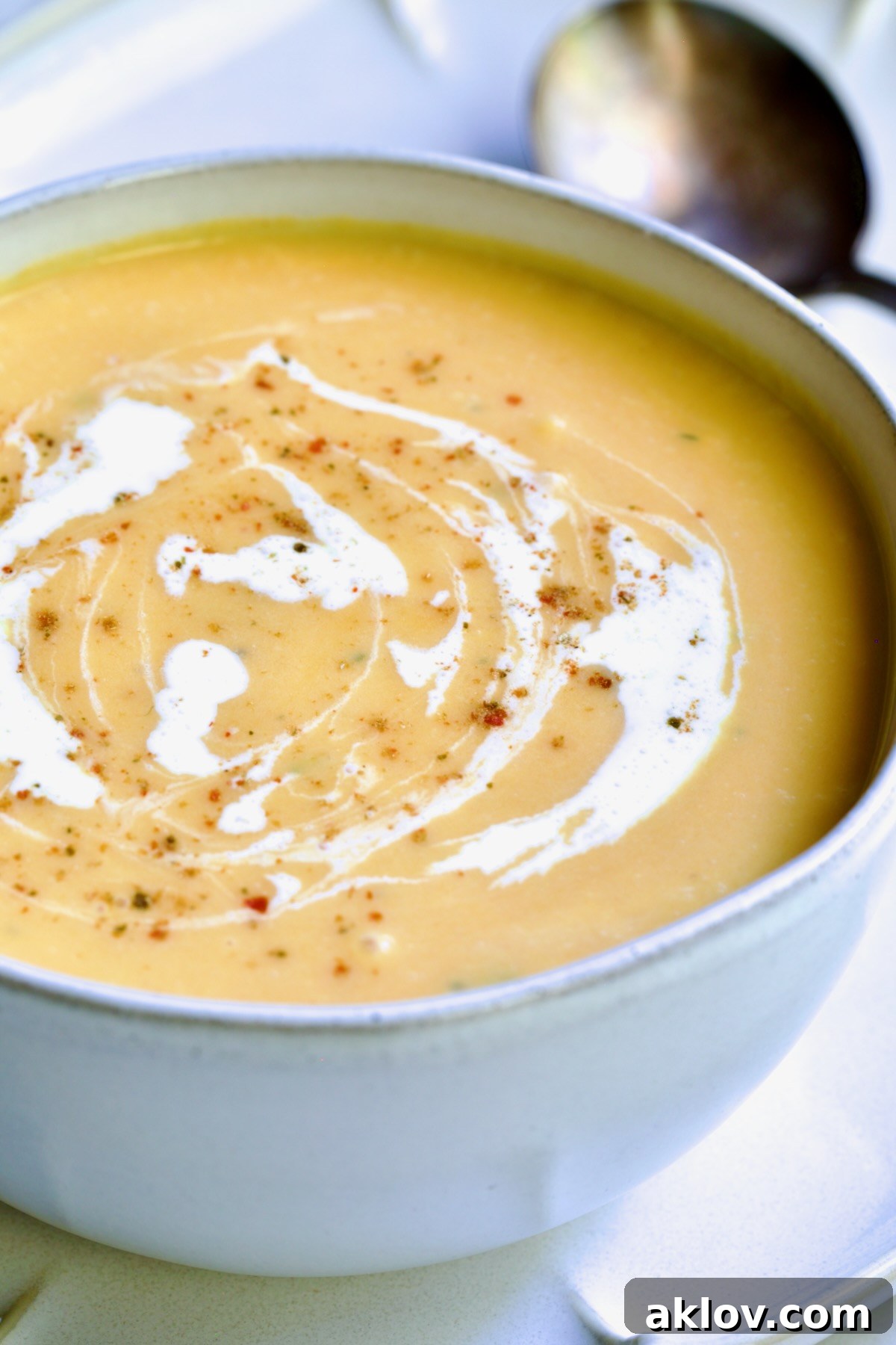 A perfectly portioned bowl of Butternut Squash Brie Soup, ready to be savored, highlighting its creamy consistency and elegant presentation.