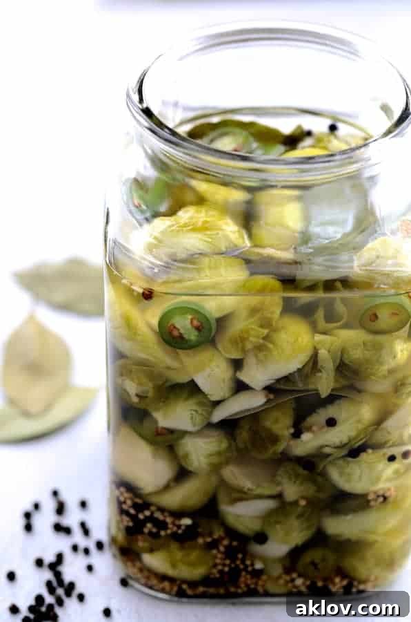 Photo of Quick Pickled Brussels Sprouts with Jalapeno in a jar without a lid, with black peppercorns and bay leaves scattered on the table, showing the ingredients.