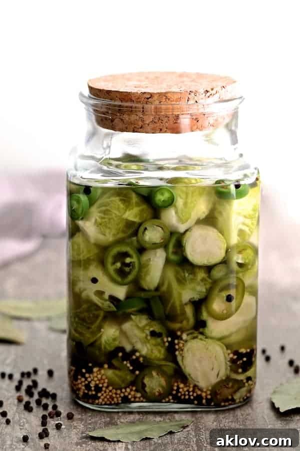 Photo of Quick Pickled Brussels Sprouts with Jalapeno in a jar with the lid on, accompanied by bay leaves and black peppercorns on a gray table, ready for storage.