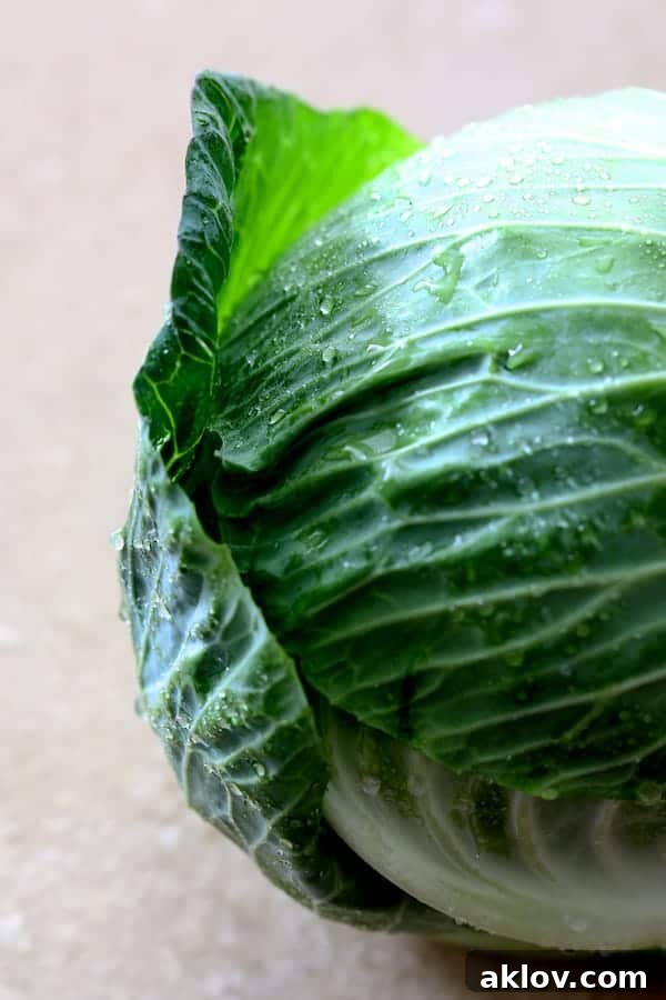 Asian Spiced Pork Cabbage Bundles 3 Close-up photo of a fresh, whole head of green cabbage, ready for preparation.
