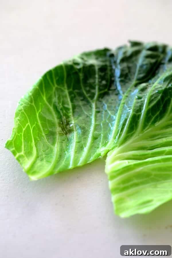 Asian Spiced Pork Cabbage Bundles 4 Photo of a cooked cabbage leaf with a V-shape cut out of its bottom, demonstrating the preparation step.