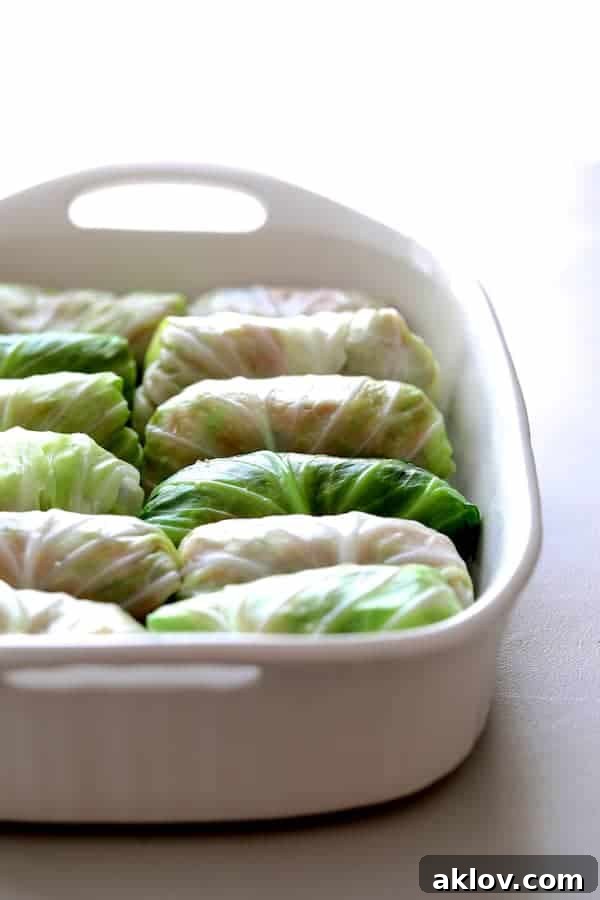 Asian Spiced Pork Cabbage Bundles 5 Photo of uncooked Spicy Asian Pork Cabbage Rolls neatly arranged in a white baking dish before baking.