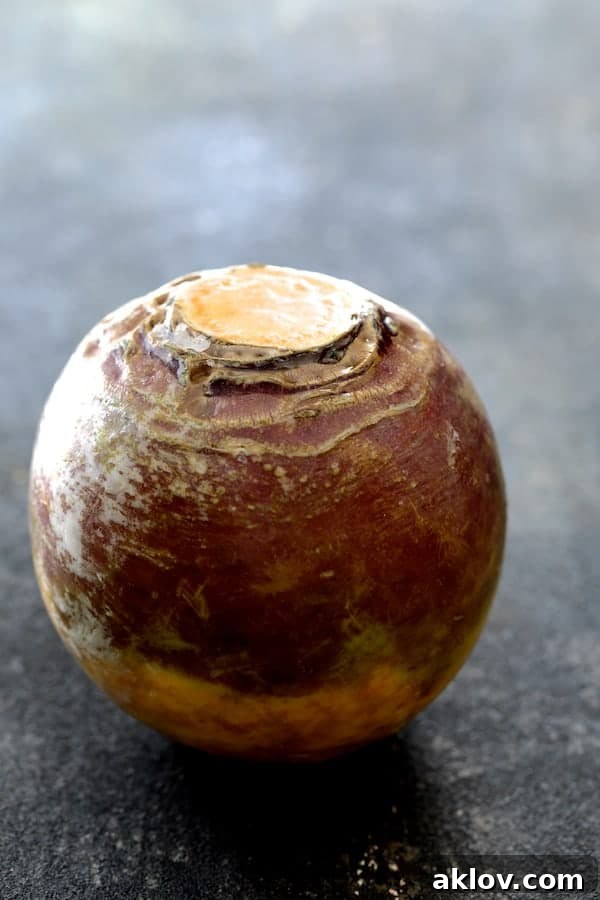 Whole rutabaga, also known as a Swede, showcasing its natural form before peeling.