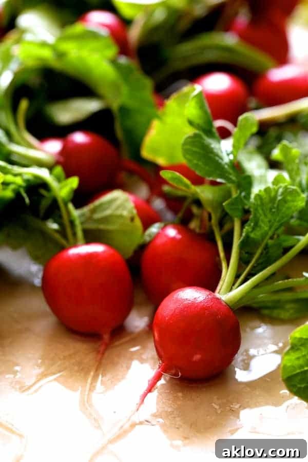 Rustic French Lentil Salad 5 Photo of freshly washed radishes with tops still on.
