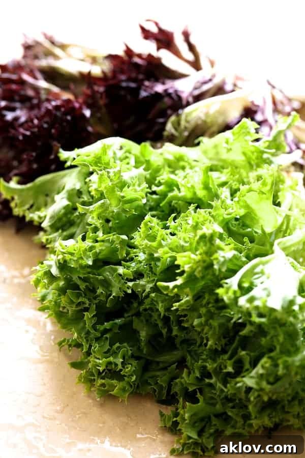 Rustic French Lentil Salad 7 Photo of frisee lettuce.