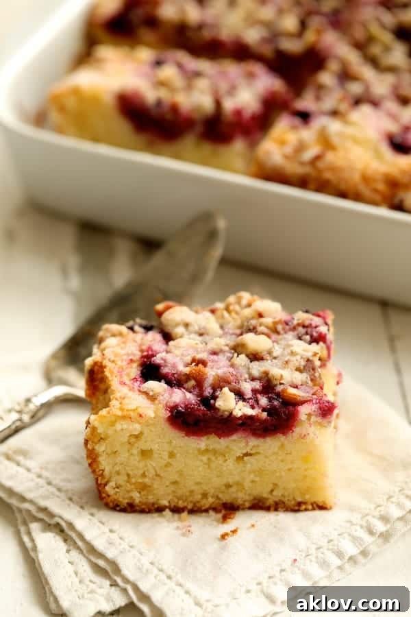 Photo of one piece of Easy Raspberry Coffee Cake on napkin with pan of coffee cake in the background.
