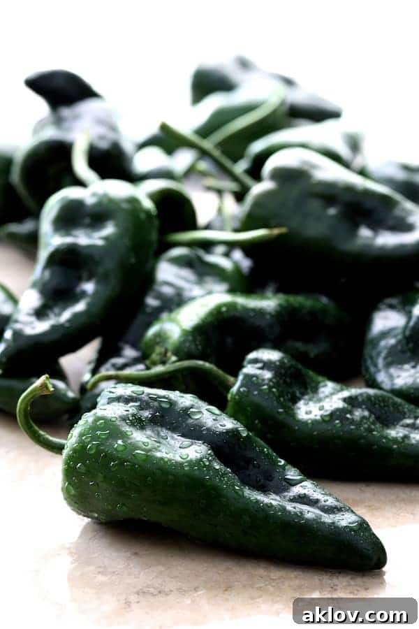 A vibrant pile of freshly washed, deep green Poblano peppers, ready for roasting.