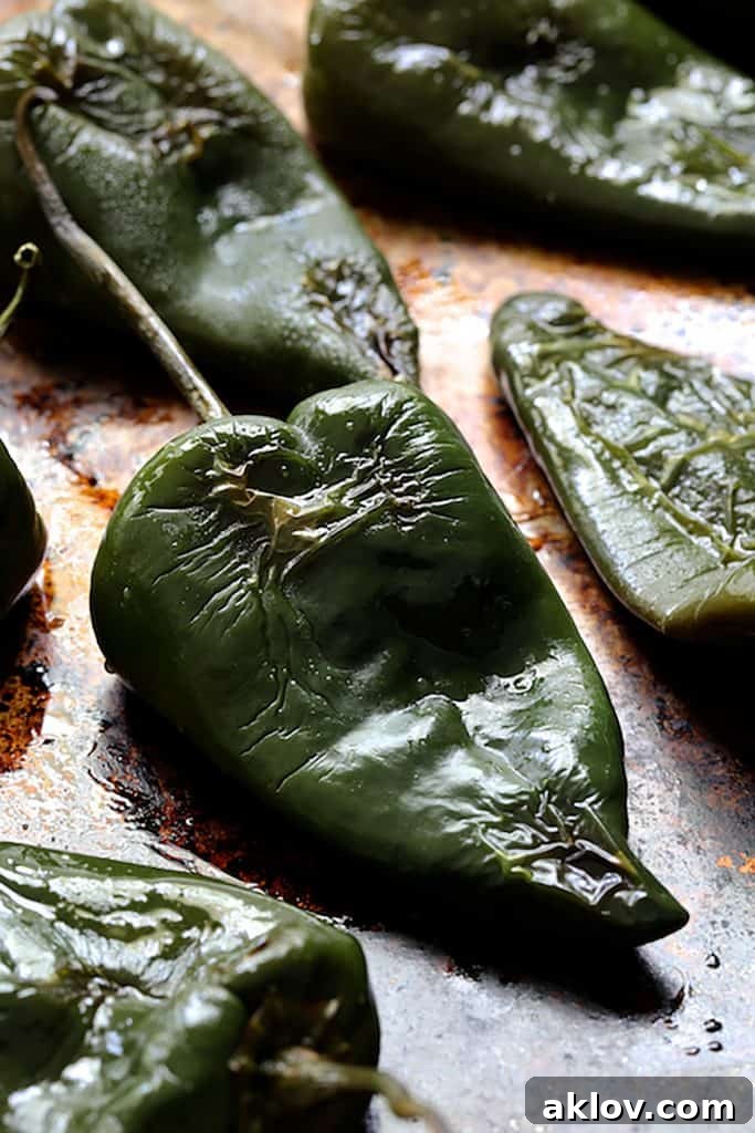 Close-up of roasted Poblano peppers with charred, blistered skins, resting on a metal baking sheet after being removed from the oven.