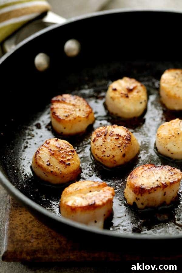 Close-up photo of several perfectly seared sea scallops, golden brown and glistening, cooking in a nonstick pan.