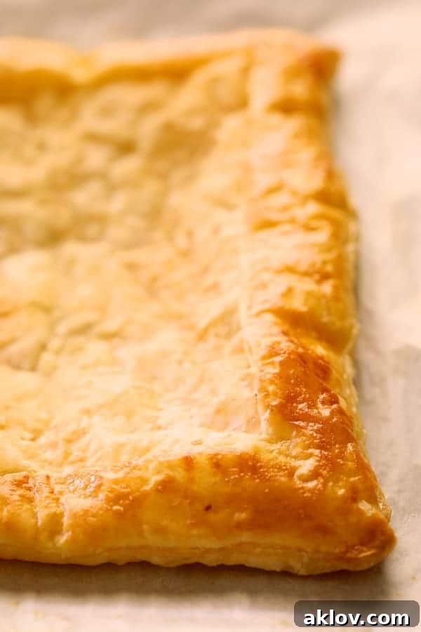Photo of a baked puff pastry crust after removal from the oven, showing its golden color and slight puffiness, ready for filling.