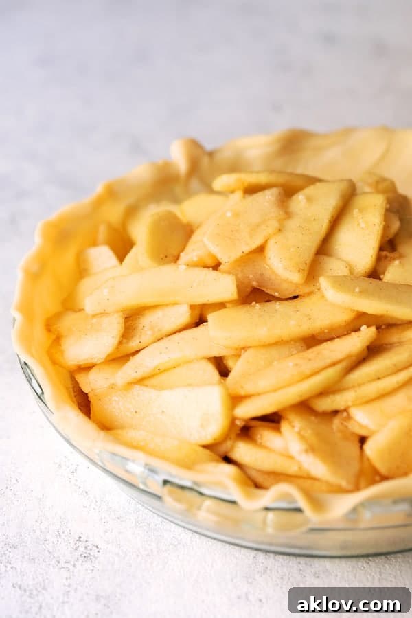 Photo of sliced apples in pie crust in the pan before placing the top crust over pie.