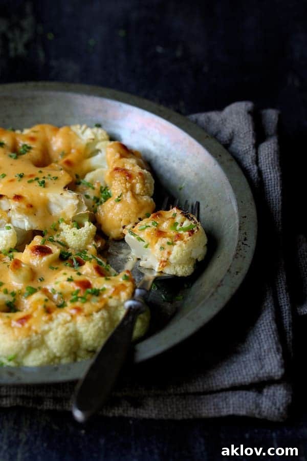 A close-up view of Cauliflower Welsh Rarebit in a metal baking dish, with a fork holding a piece of cauliflower dripping with cheese sauce.