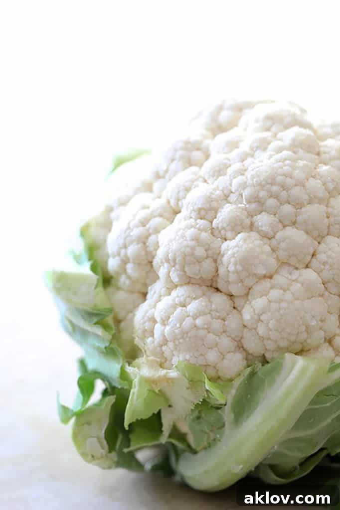 A pristine, fresh head of white cauliflower, ready for preparation.