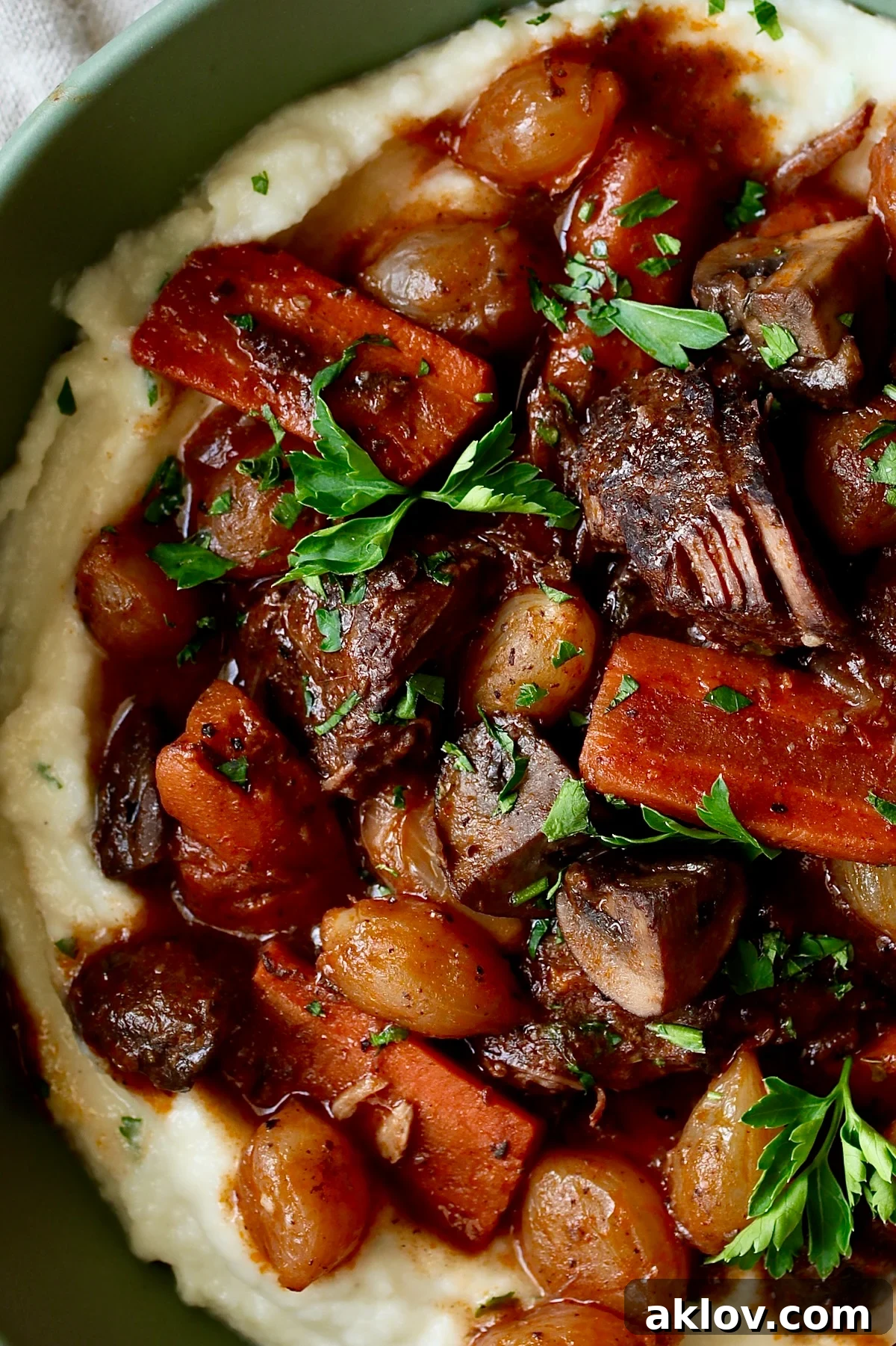 A beautifully plated Short Ribs Bourguignon over mashed potatoes, garnished with fresh parsley, in a stylish green bowl.