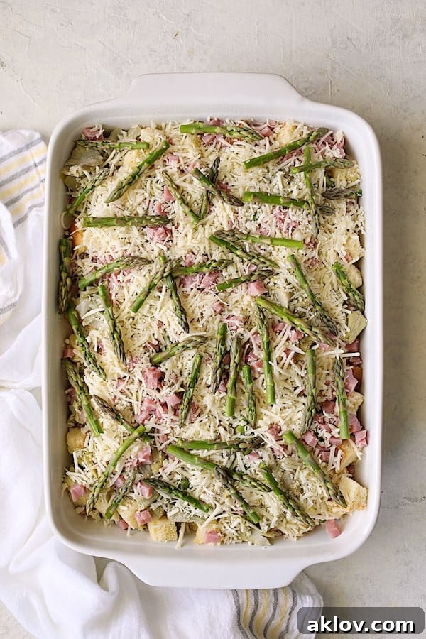 The assembled strata, beautifully topped with the final layer of Gruyere cheese and delicate asparagus tips, awaiting the custard.