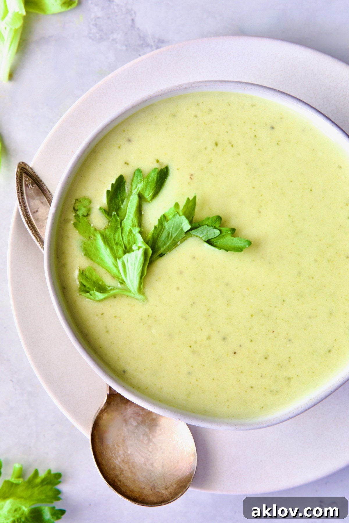 A single elegant white bowl of Creamy Celery Leaf Soup, perfectly garnished with a sprig of fresh celery leaf, ready to be enjoyed.
