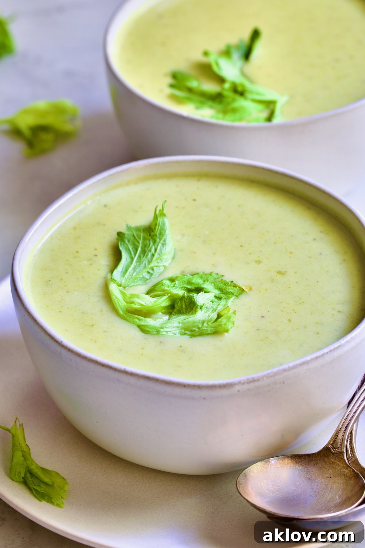 A close-up of a single bowl of rich, creamy celery leaf soup, showcasing its smooth texture and delicate garnish.