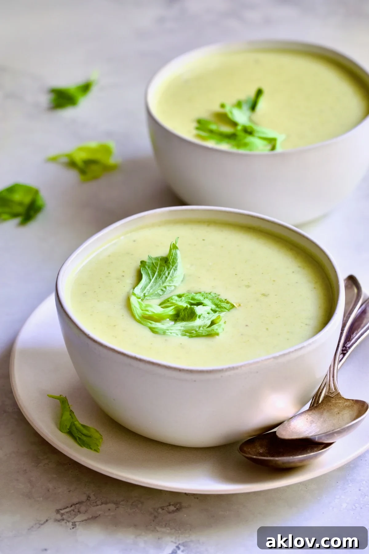 Two pristine white bowls filled with creamy celery leaf soup, garnished with a sprig of fresh celery leaves, invitingly placed for serving.