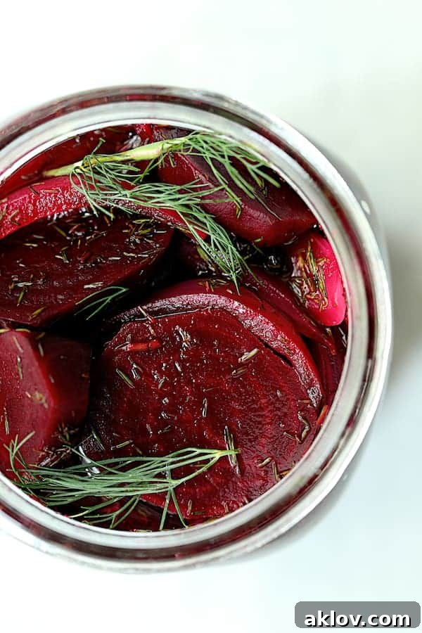 Close-up view into a glass jar filled with neatly layered sliced quick pickled beets, thin slices of red onion, and sprigs of fresh dill.