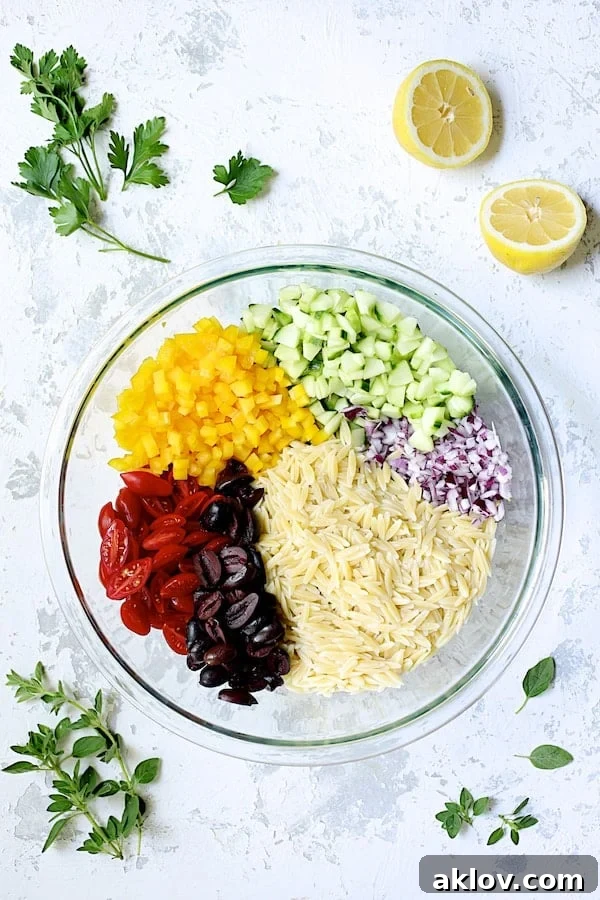 All the prepared ingredients for Greek Orzo Pasta Salad, including cooked orzo, finely chopped vegetables, crumbled feta, and dressing components, neatly arranged in separate sections of a large glass bowl, prior to mixing.