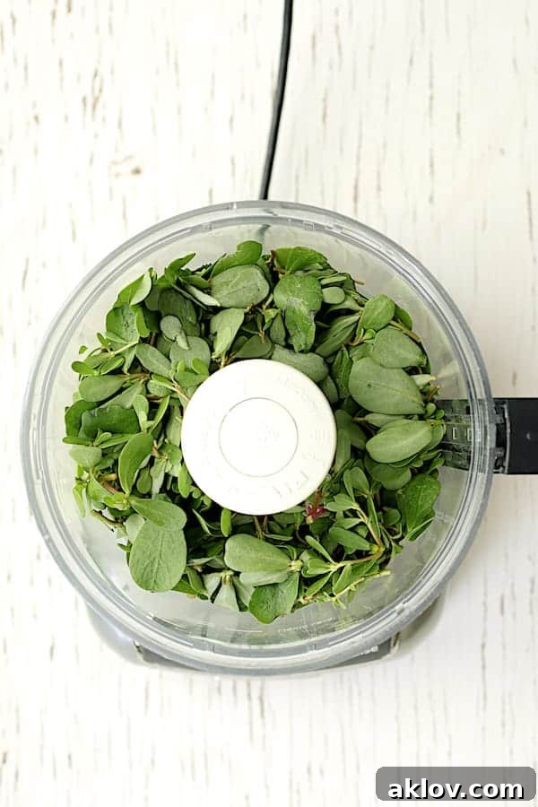 Photo of fresh purslane leaves and other herbs in a food processor, ready to be blended.