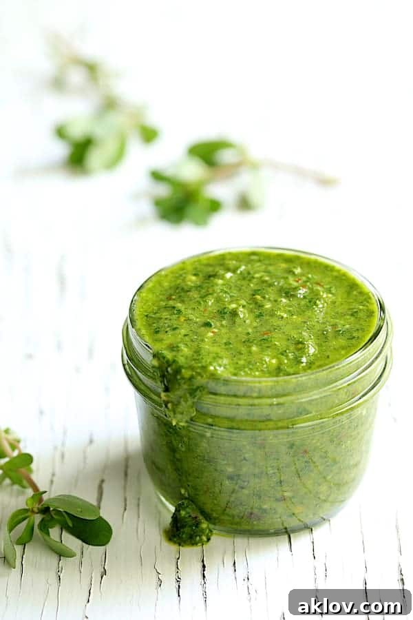 Photo of Purslane Chimichurri in a glass jar on a rustic, crackled white surface, highlighting its texture.