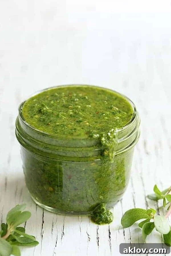 Purslane Chimichurri in glass jar.