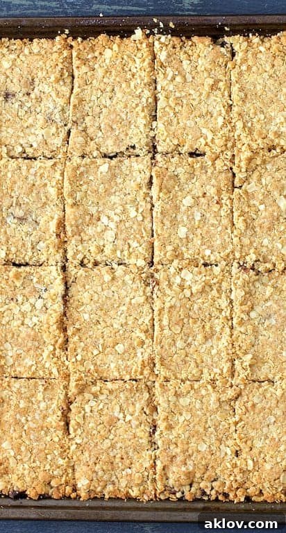 Photo of Healthier Date Bars cut into neat pieces, showcasing the date filling.