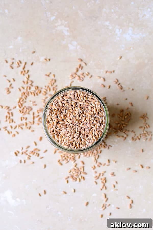 Uncooked pearled farro grain displayed in a glass jar on a elegant marble background.