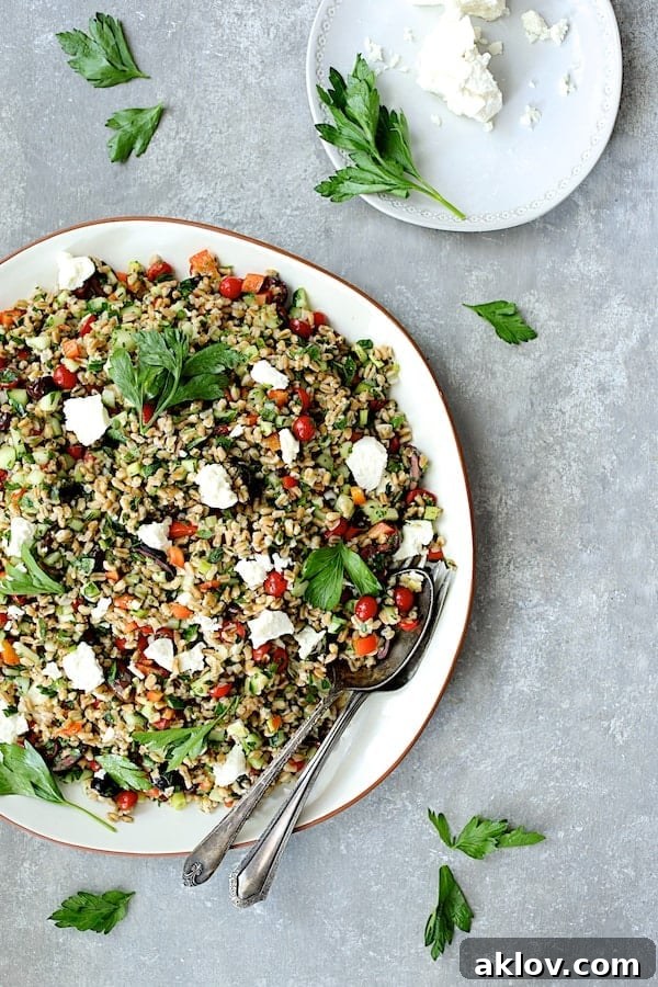 Sun-Drenched Farro Salad 6 A vibrant Mediterranean Farro Salad artfully arranged on a serving platter, generously topped with crumbled feta cheese and fresh parsley sprigs.