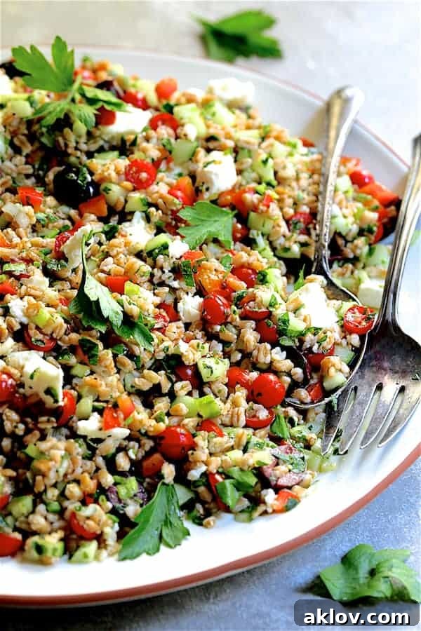 Sun-Drenched Farro Salad 7 A close-up view of the delicious Mediterranean Farro Salad presented on a pristine white platter with elegant serving utensils.