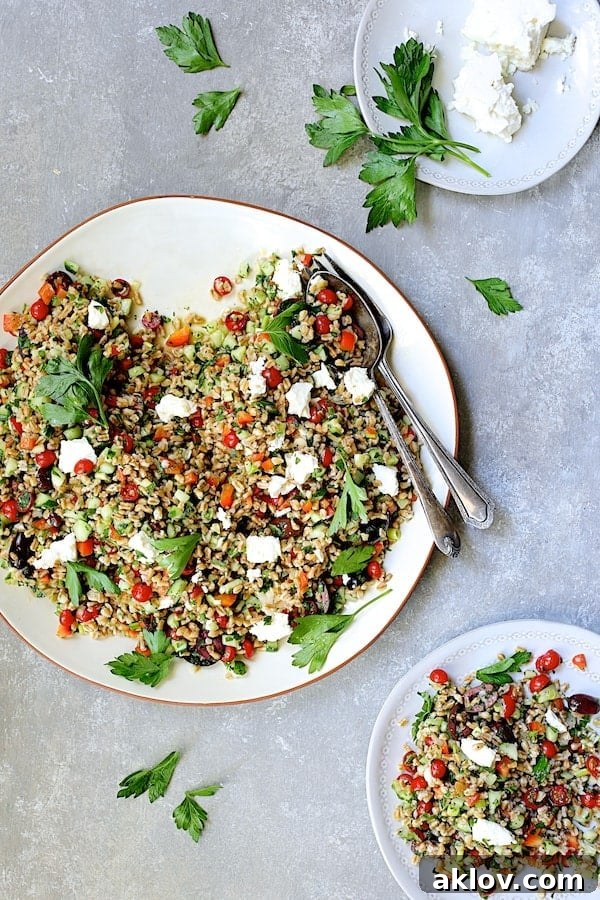 Sun-Drenched Farro Salad 8 The Mediterranean Farro Salad displayed on a large white platter, with a portion already served onto a smaller individual plate.