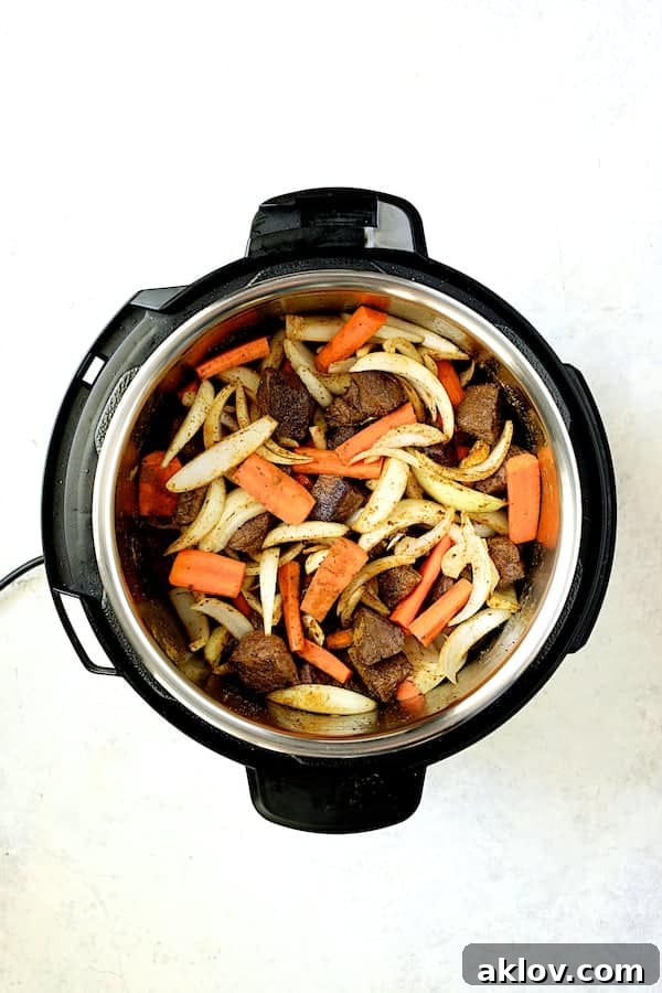 Photo of all the fresh ingredients, including beef, onions, carrots, and spices, combined in the Fissler Multi Pot before cooking.