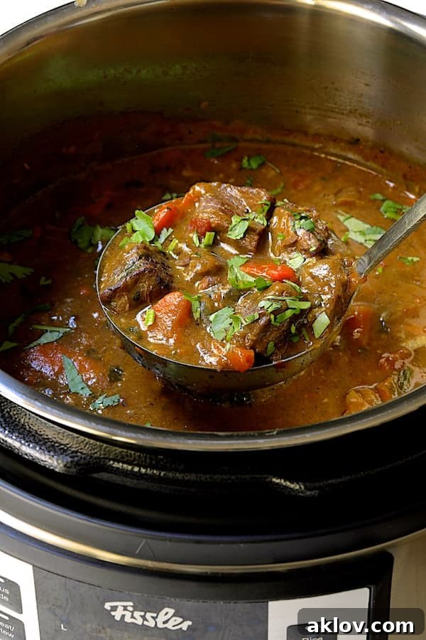 Close-up photo of a ladle full of the rich and creamy beef stew being served directly from the pressure cooker.