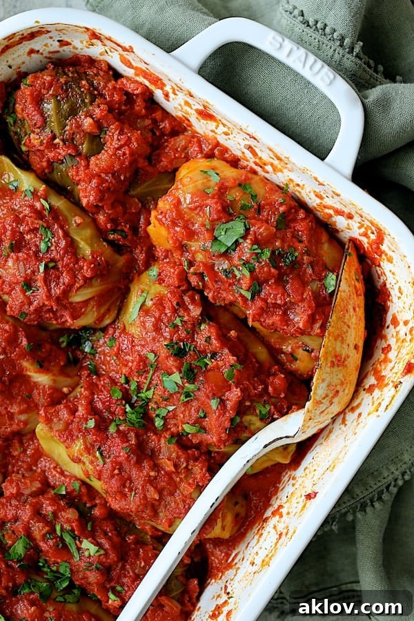 Close-up angled shot of fully baked Italian Stuffed Cabbage Rolls in a white baking dish, showing the rich, vibrant sauce and tender cabbage.