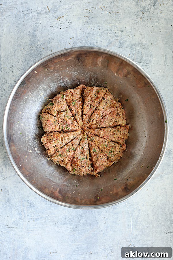 Overhead shot of the meat filling in a stainless steel bowl, now meticulously divided into 12 even sections for precise portioning.