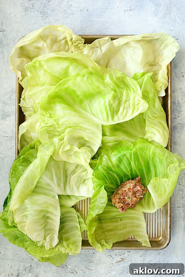 Overhead shot showing 12 prepared cabbage leaves on a baking sheet, with one leaf having a perfectly portioned mound of meat filling placed on it, ready for rolling.