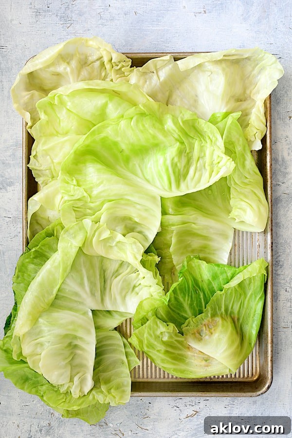 Overhead shot of cabbage leaves on a baking sheet, with one leaf partially folded and rolled, illustrating the wrapping process for the filling.