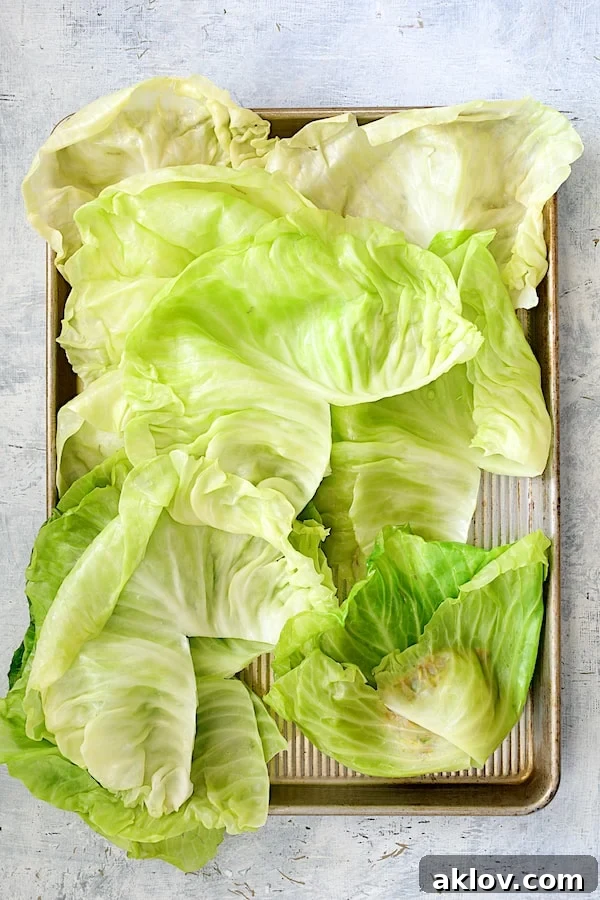 Overhead shot showing the process of folding a cabbage leaf over the filling, with the sides about to be folded in.