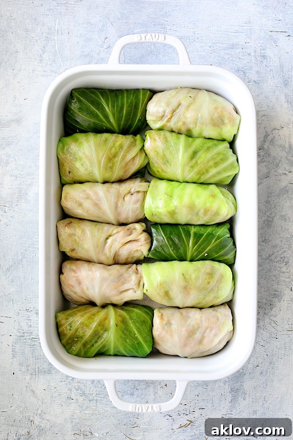 Overhead shot of all the carefully rolled cabbage rolls, neatly arranged seam-side down in a white baking dish, ready for sauce.
