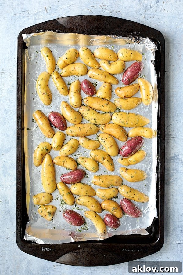 Halved fingerling potatoes coated in duck fat and rosemary, arranged cut-side down on a sheet pan, ready for roasting.