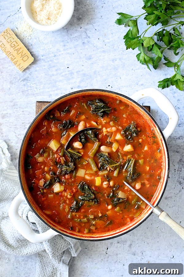 Photo of finished Italian Vegetable Stew in white Dutch oven on light blue background with cheese and parsley garnish.