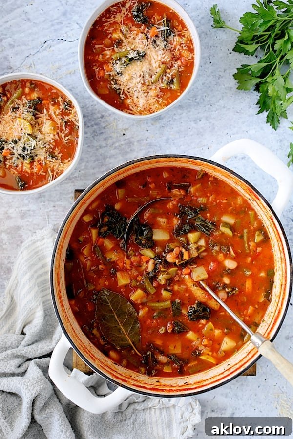 Photo of Italian Vegetable Stew in white Dutch oven with some served in two white soup bowls, garnished with cheese and parsley.