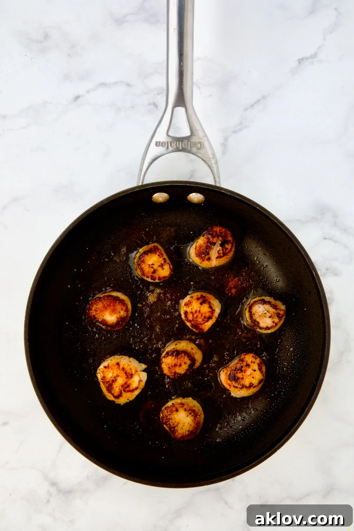 Nine seared sea scallops in nonstick skillet.
